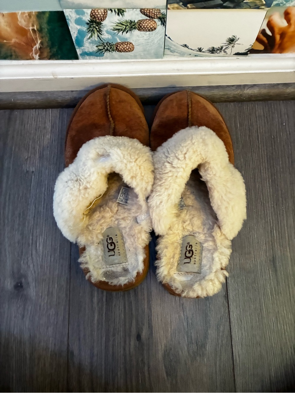 UGG Women's Chestnut Suede Sheepskin Slippers “Disquette”